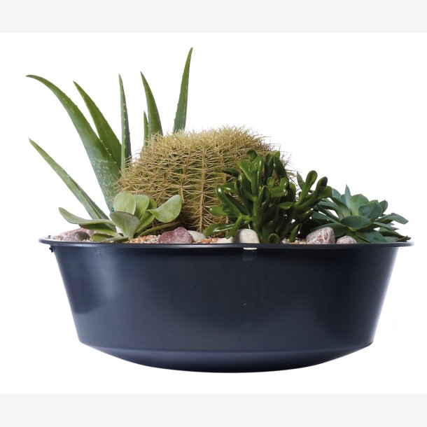 Plantesk&aring;l 2in1 (295640+326109)