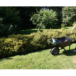 Trolla CARRY (Trillebr m/punkterfri PU hjul)