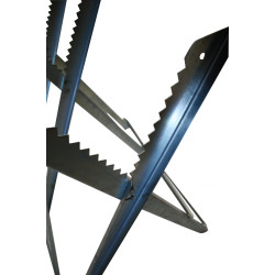 Sammenklappelig savbuk  